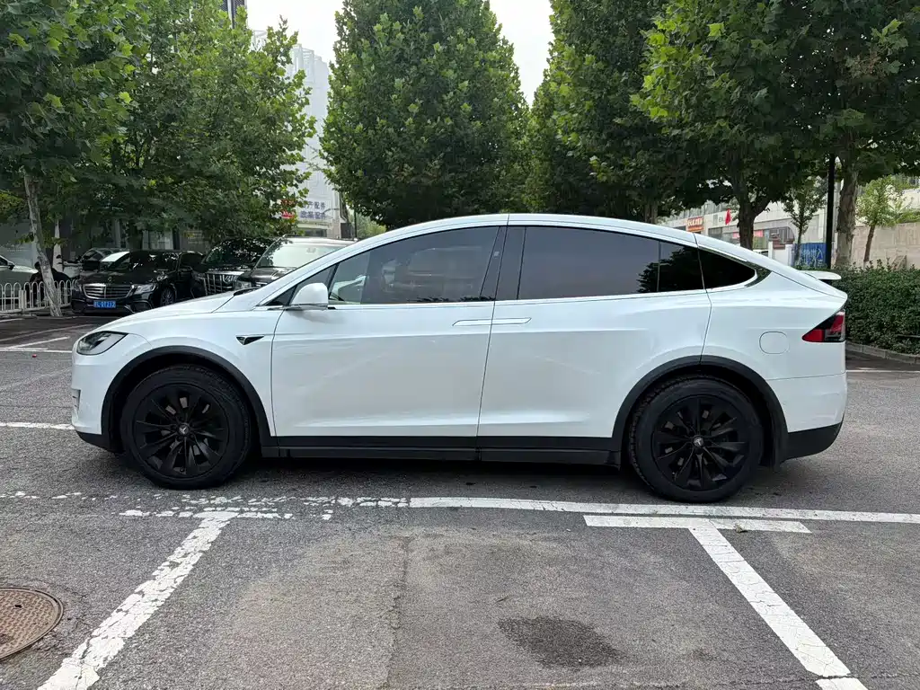 Tesla Model X 2017 Model X 100D