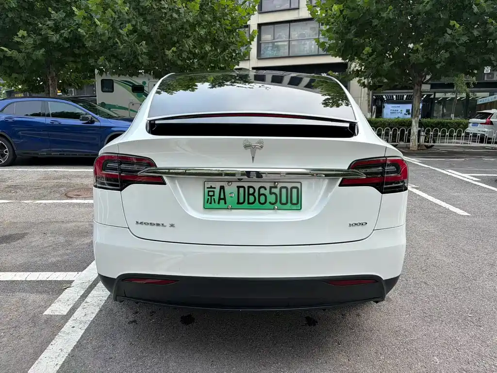 Tesla Model X 2017 Model X 100D