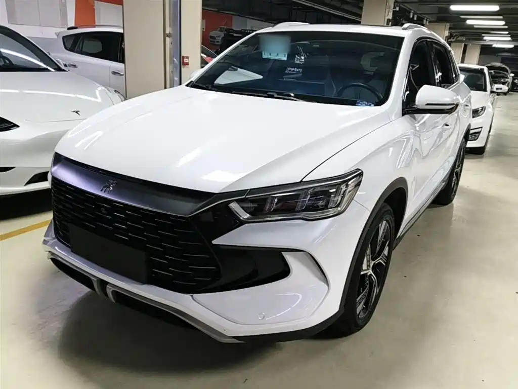 Byd Pro New Energy 2023