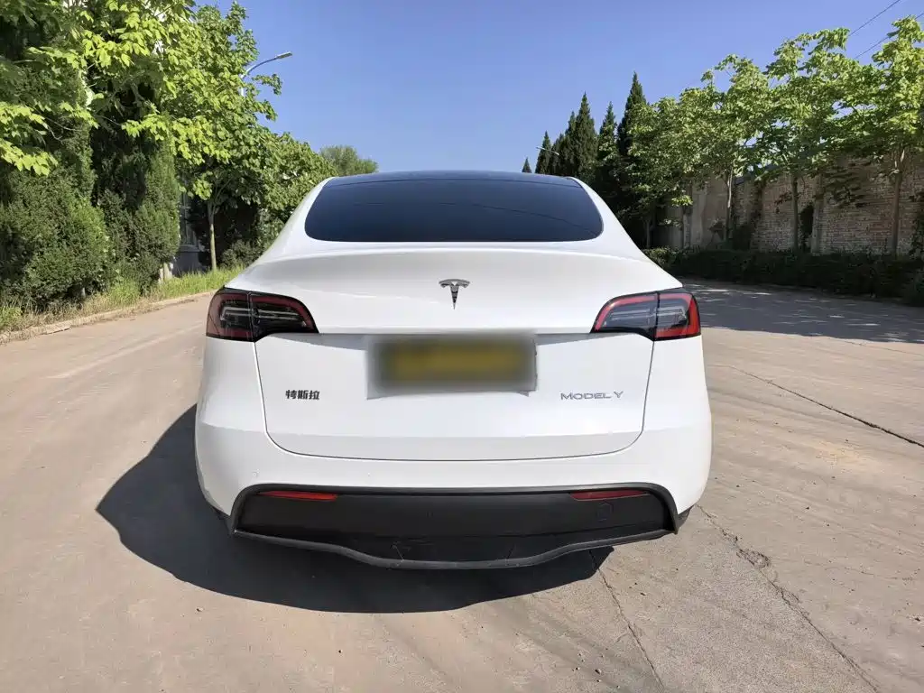 Tesla Model Y — миниатюра 6