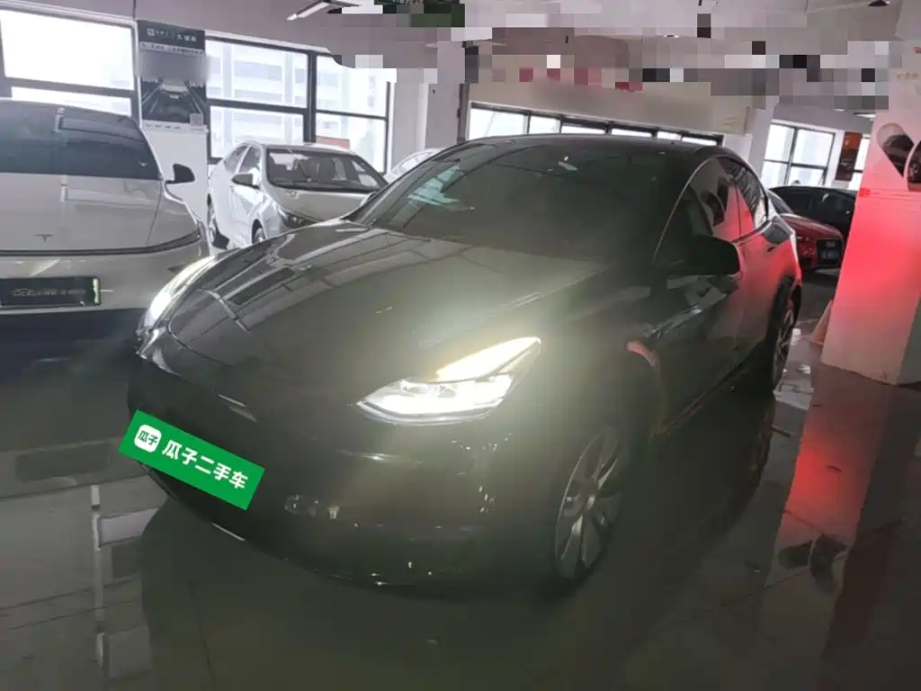 Tesla Model Y — миниатюра 2