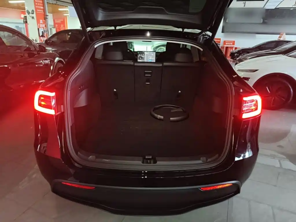 Tesla Model Y — миниатюра 19