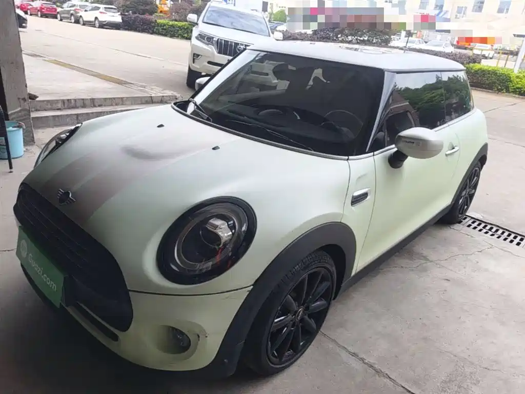 Mini Mini 2020
