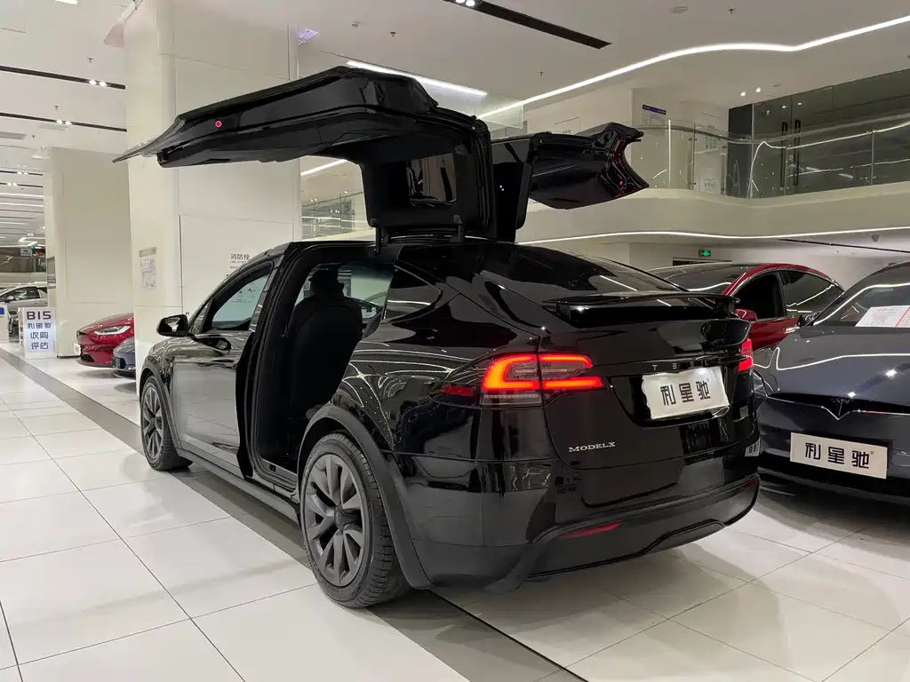 Tesla Model X — миниатюра 4