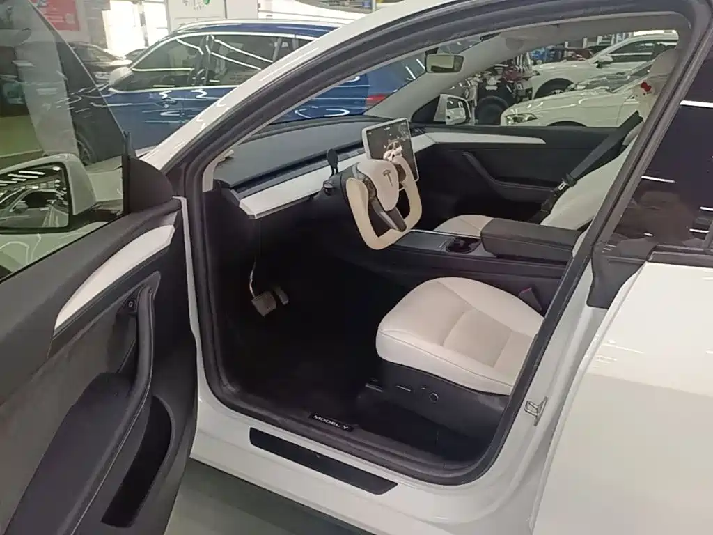 Tesla Model Y — миниатюра 16