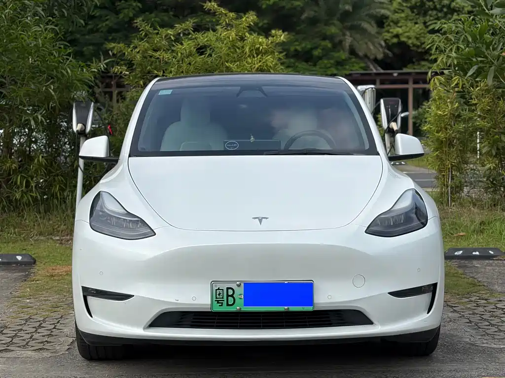 Tesla Model Y — миниатюра 2