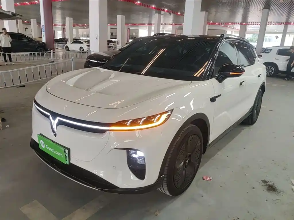 Voyah Zhiyin 2024