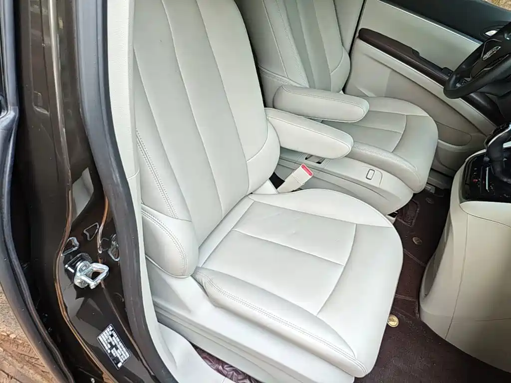 Buick GL8 — миниатюра 25