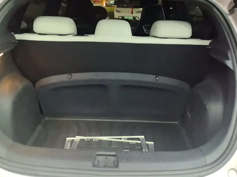 BYD Dolphin 2021 405km Freedom