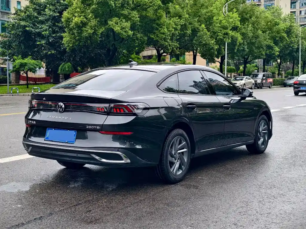 Volkswagen Lamando — миниатюра 3