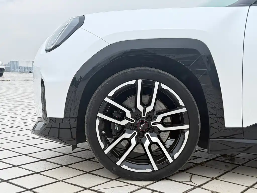 MINI MINI ACEMAN EV — миниатюра 10