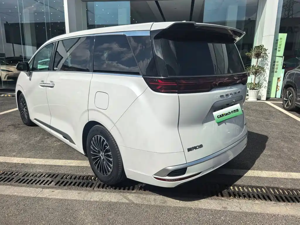 Denza Denza D9 — миниатюра 6