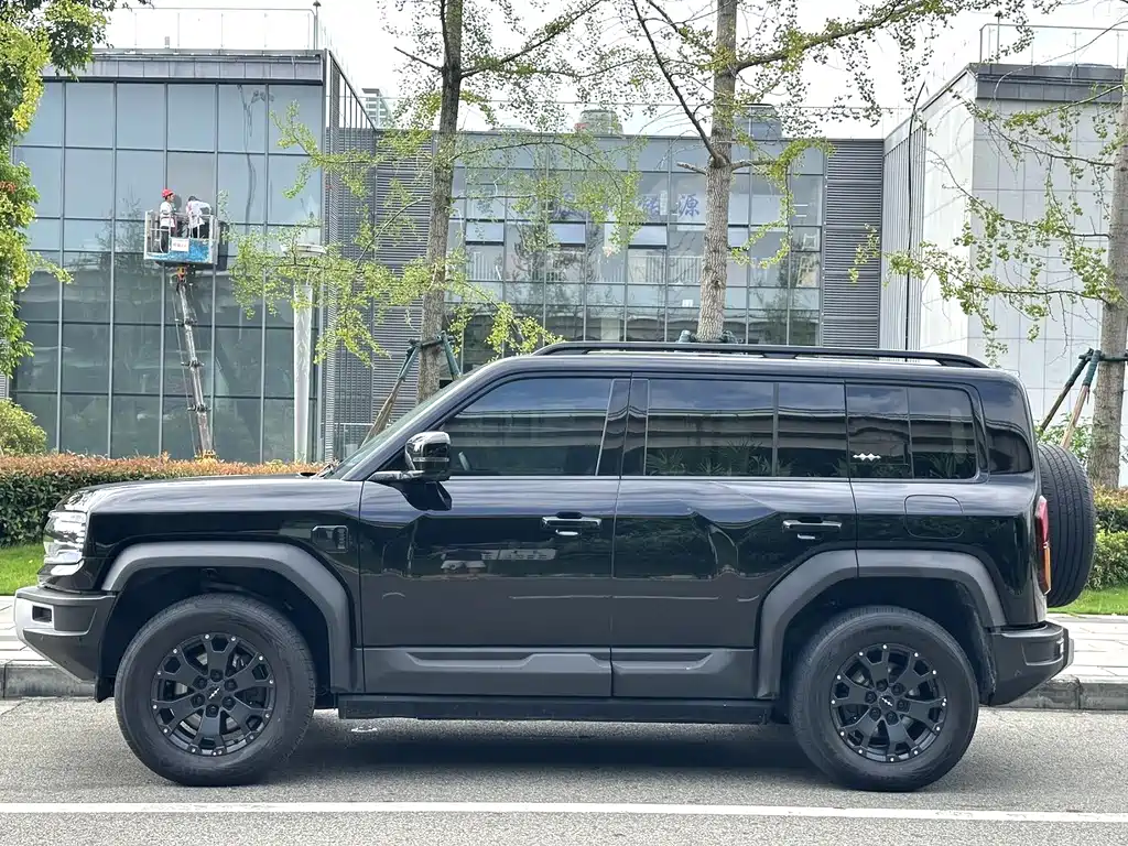 FANG CHENG BAO LEOPARD 5