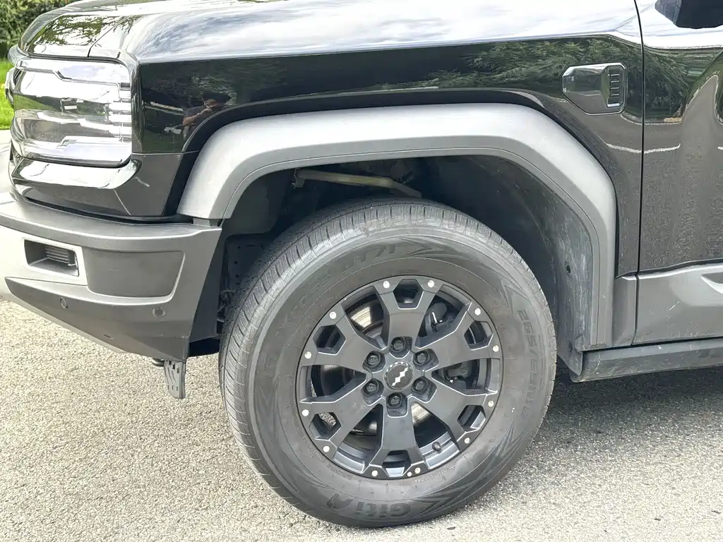 FANG CHENG BAO LEOPARD 5