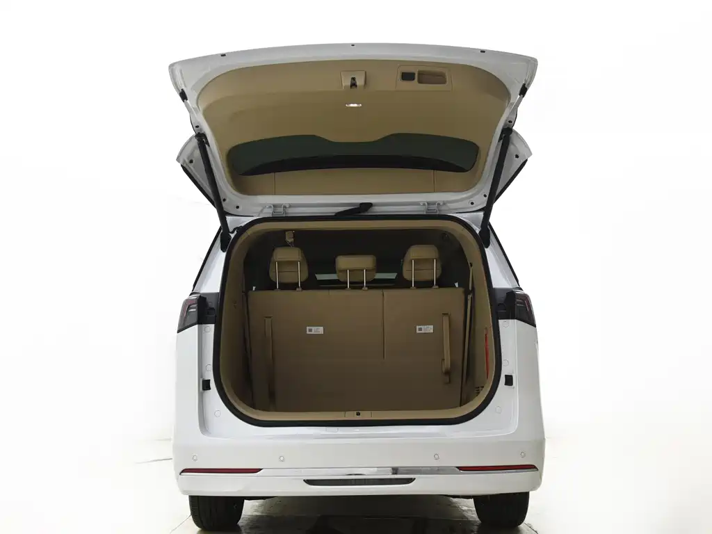 Buick GL8 — миниатюра 14