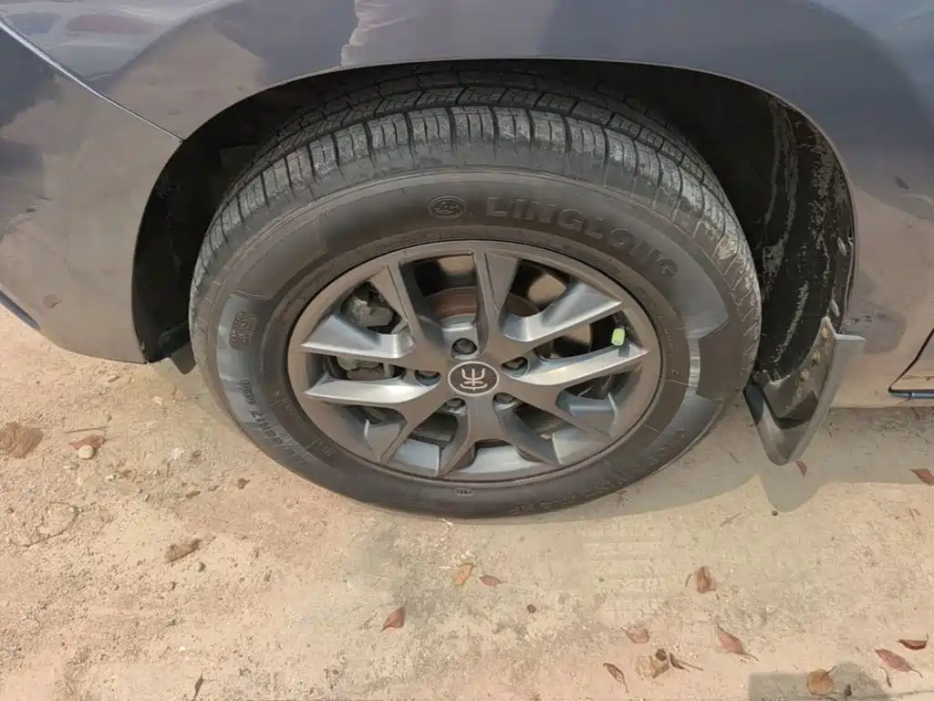 BYD Song — миниатюра 23
