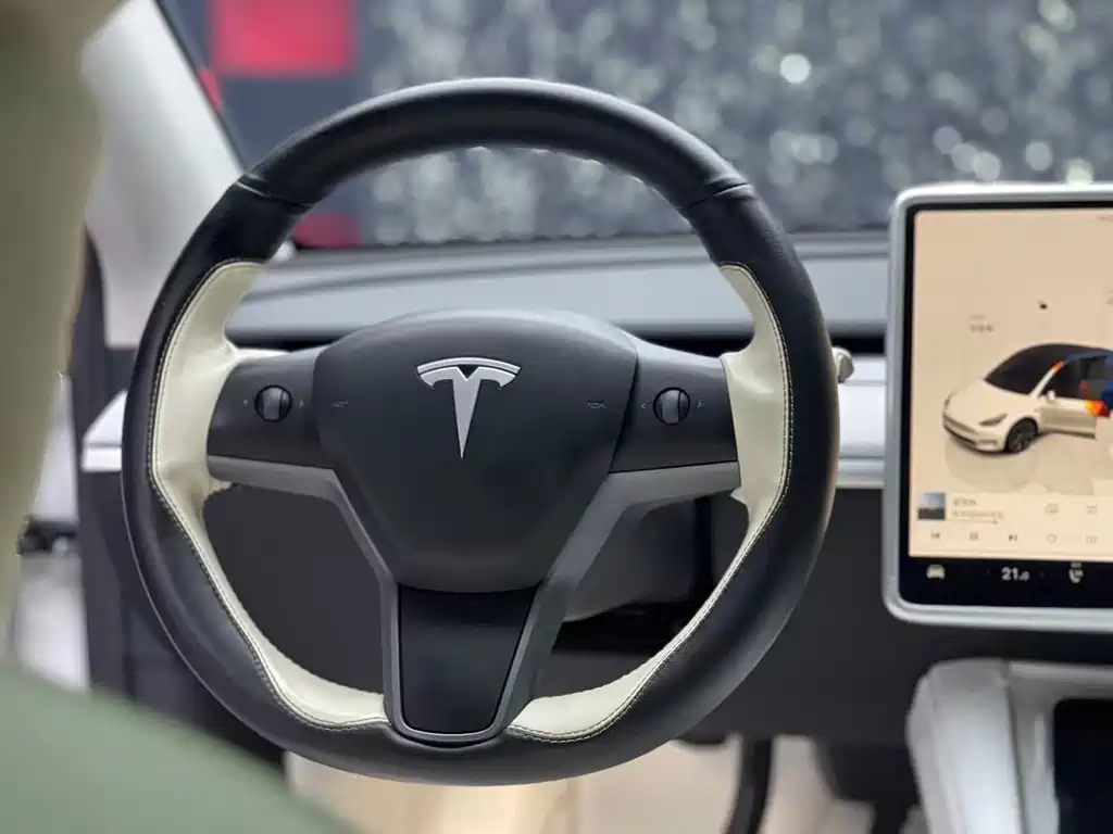 Tesla Model Y — миниатюра 13