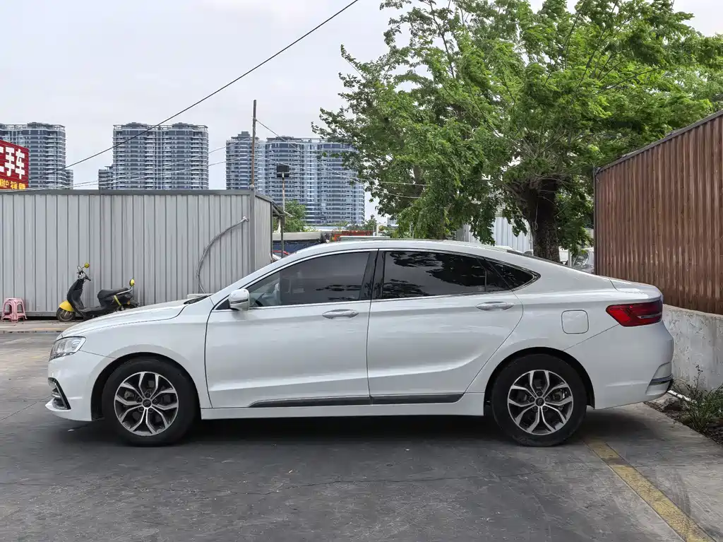 Geely Borui 2.4L Elegant Type, фото 10