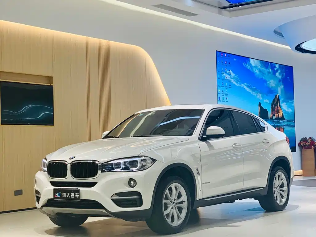 BMW X6 2018