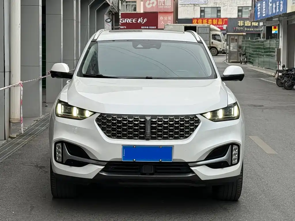 WEI PAI WEI BRAND VV6