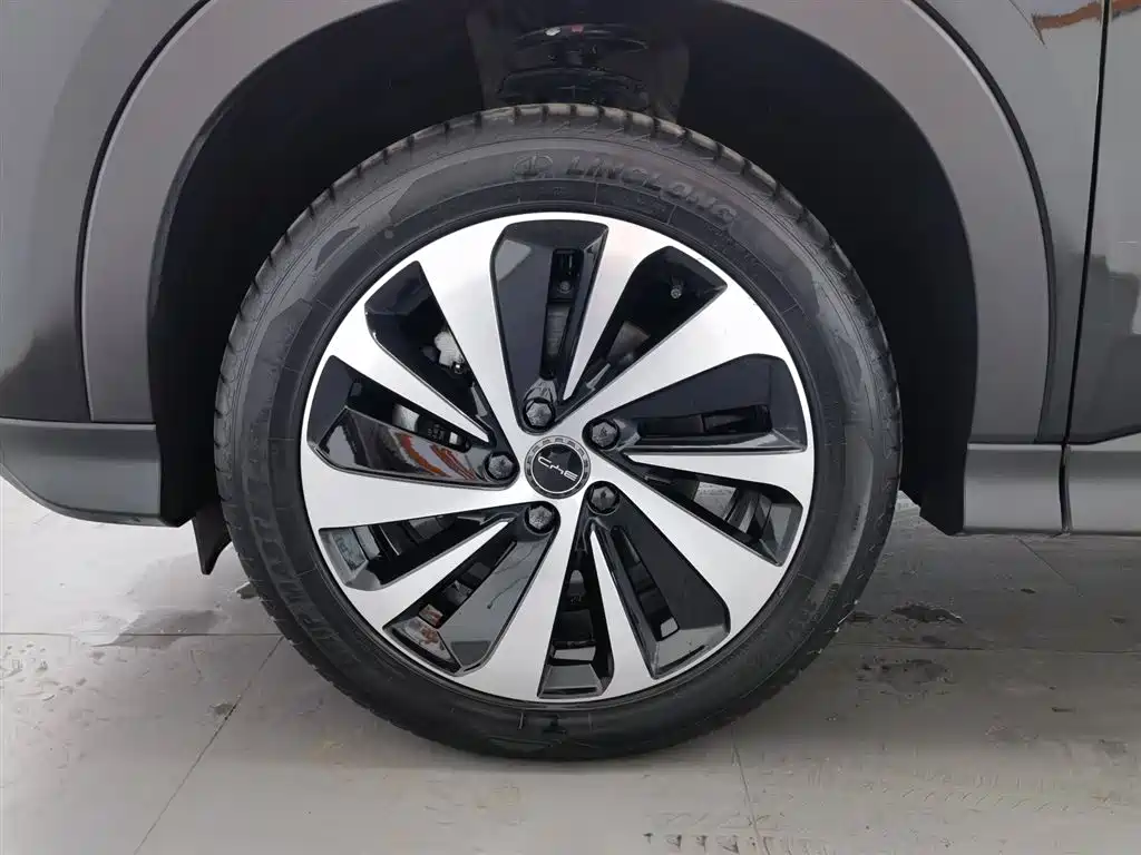 BYD SONGJIANG NEW ENERGY