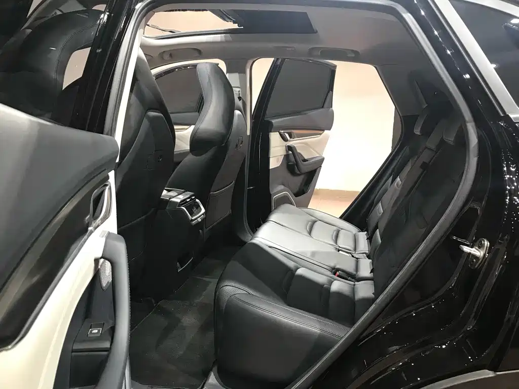 Weltmeister WEIMA EX5