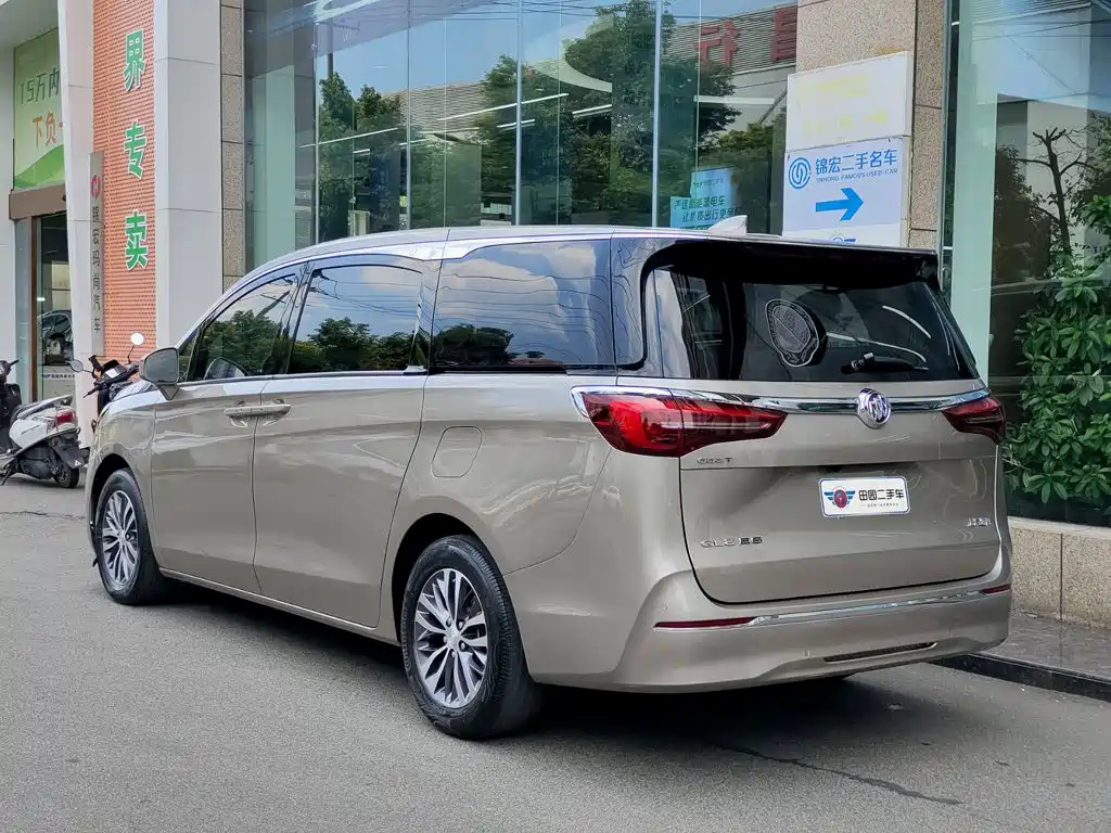 Buick GL8 ES LandKing 653T Comfort Type, фото 4