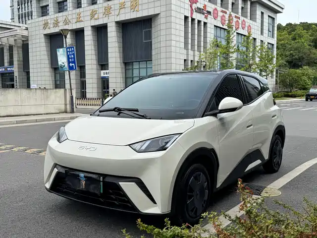 2024 BYD Seagull