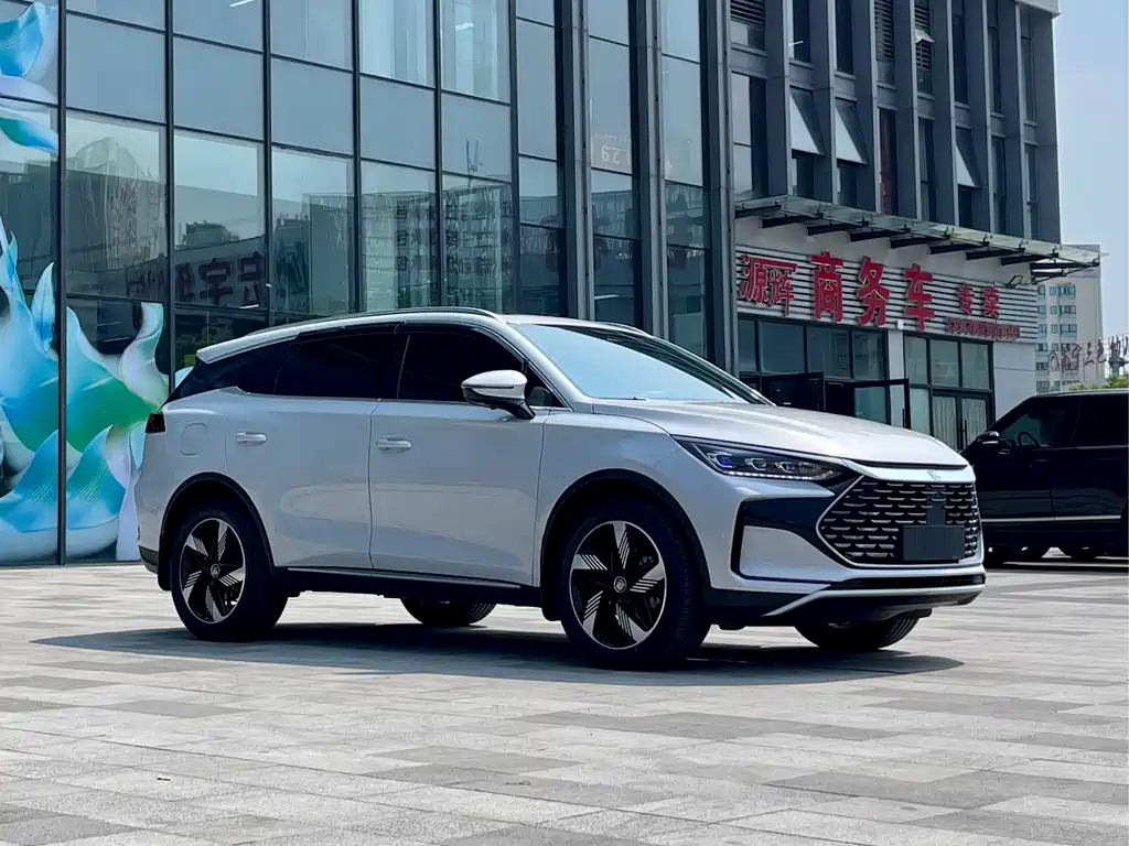 BYD Tang New Energy — миниатюра 3