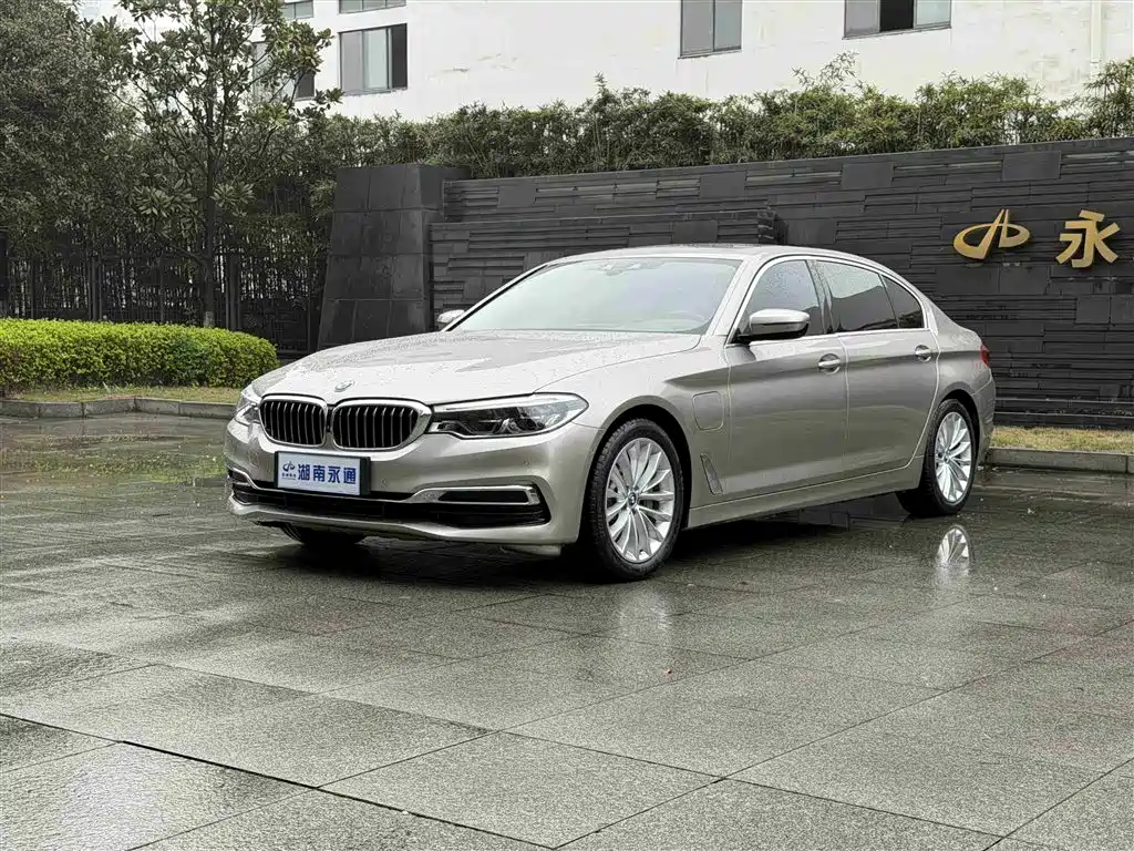BMW 5 Series New Energy 2019