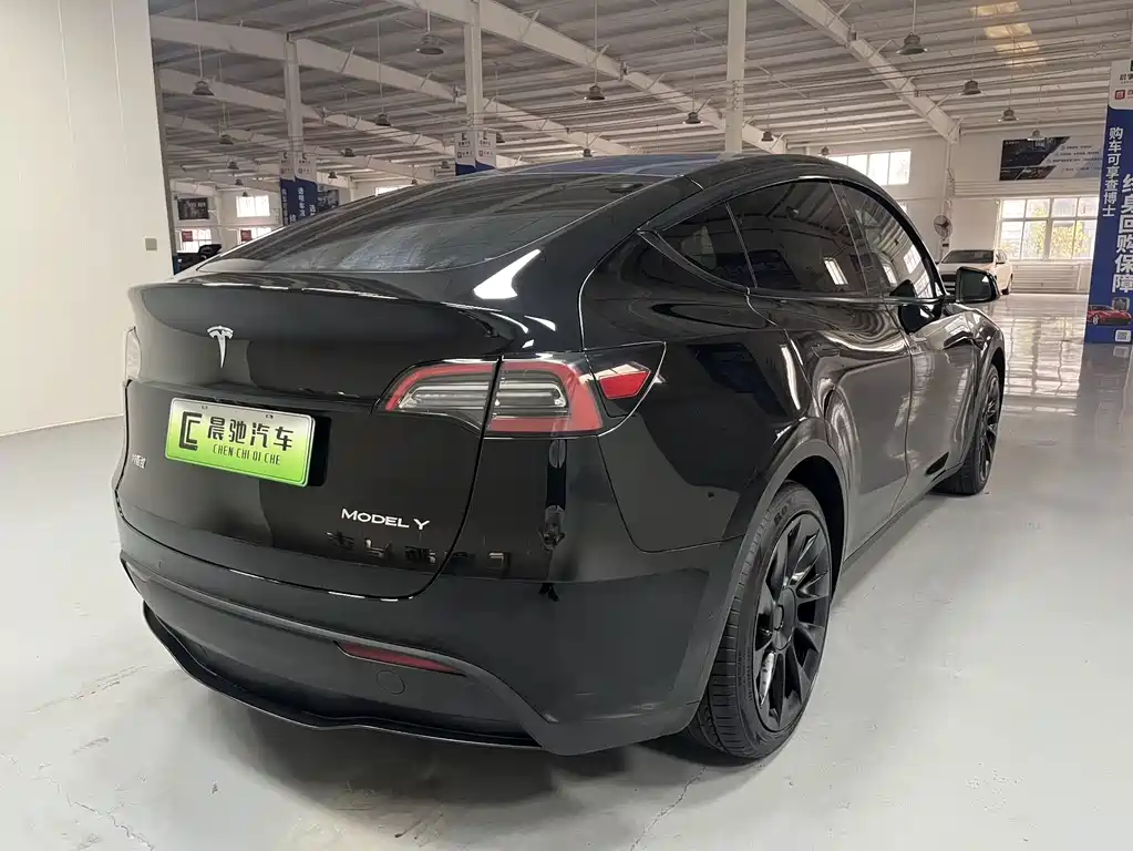 Tesla Model Y — миниатюра 4