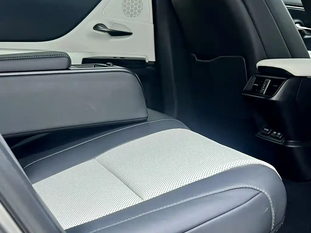 Lexus ES 2021 300h F SPORT