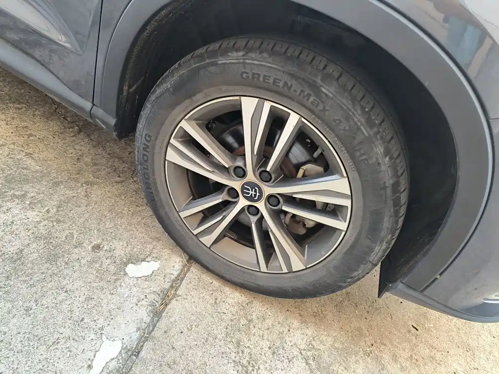 BYD Pro — миниатюра 22