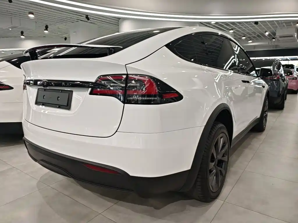 Tesla Model X — миниатюра 7
