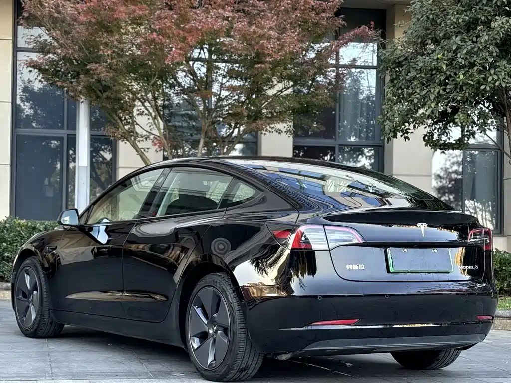 Tesla Model 3 — миниатюра 10