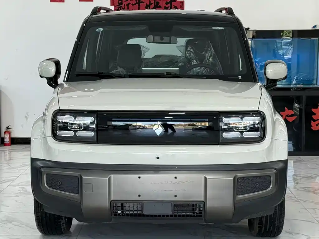 BAOJUN YUE ALSO PLUS