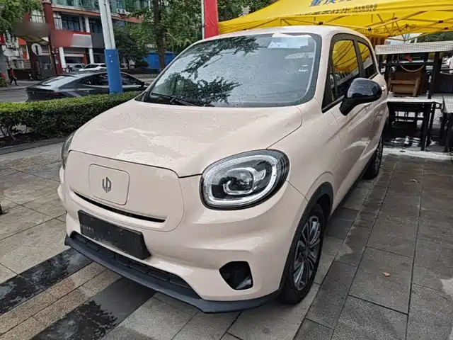 2021 Leapmotor T03