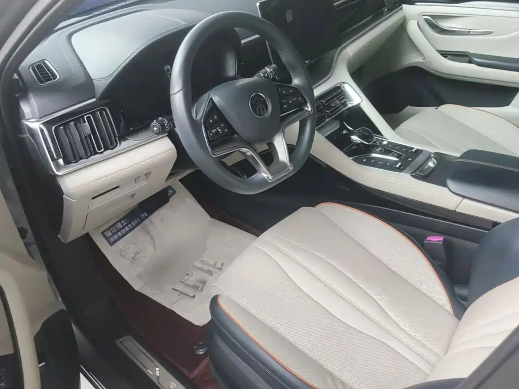 BYD PLUS New Energy — миниатюра 16