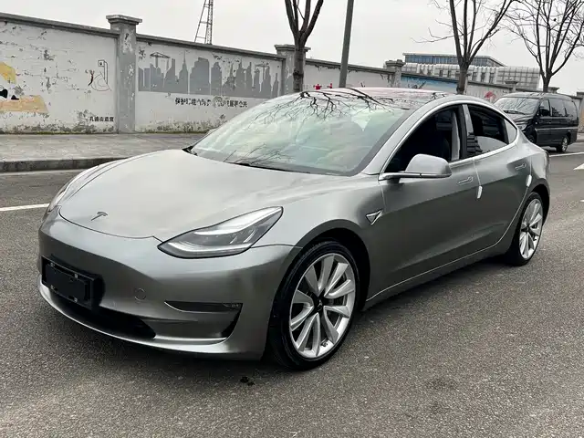 TESLA MODEL 3 2019