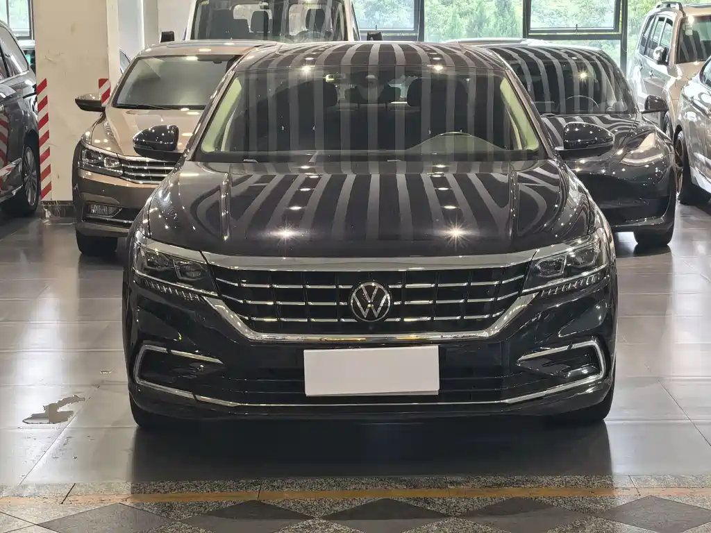 Volkswagen Passat — миниатюра 2