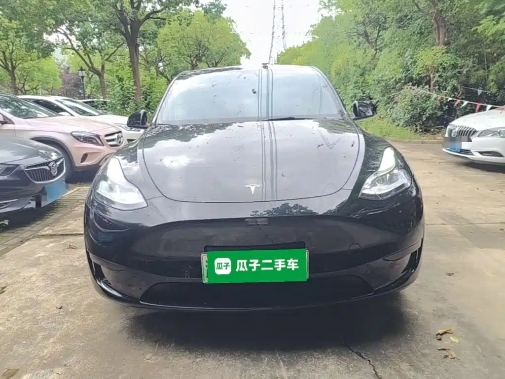 Tesla Model Y — миниатюра 3