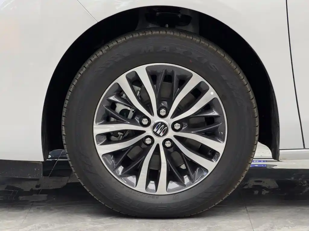 Buick GL8 — миниатюра 4