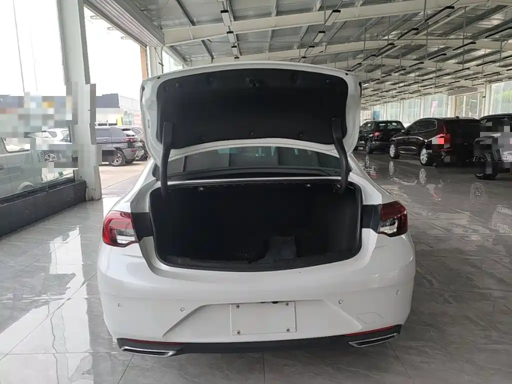 Buick Regal — миниатюра 19