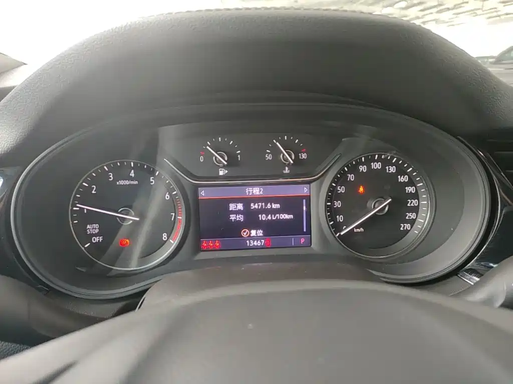 Buick Regal — миниатюра 12