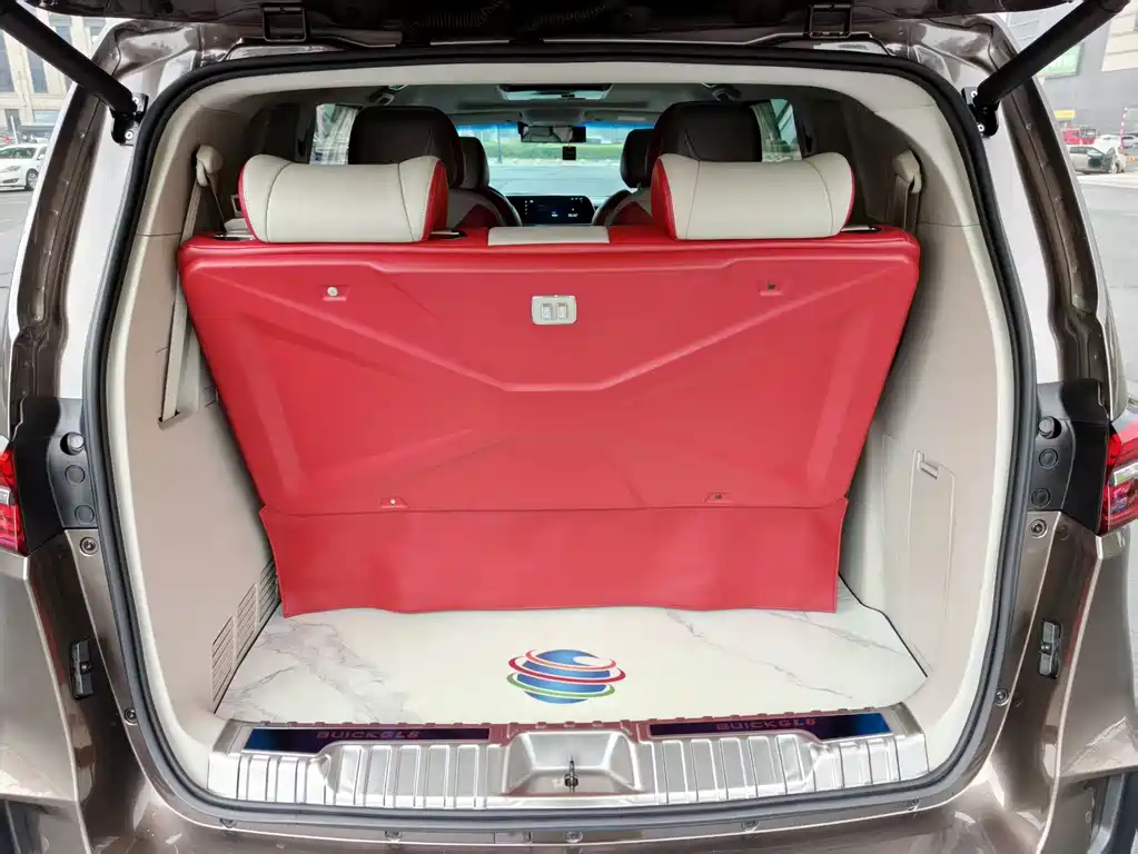 Buick GL8 — миниатюра 14