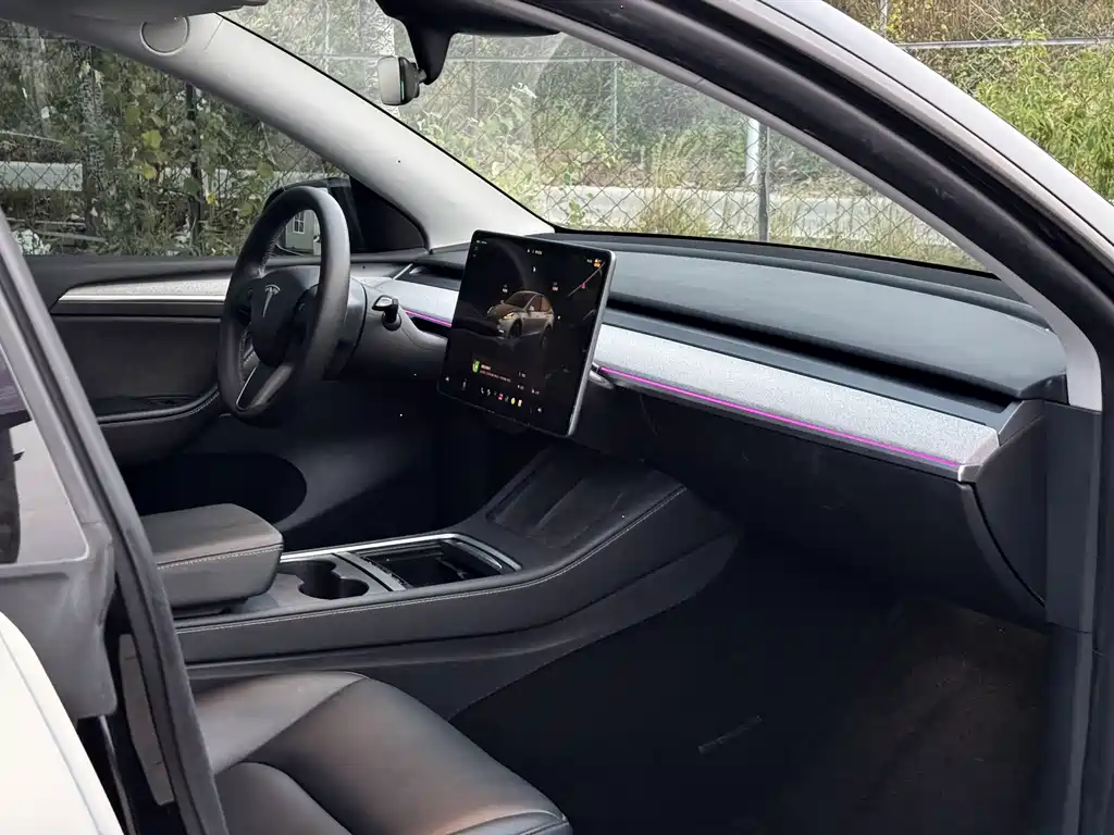 Tesla Model Y — миниатюра 14