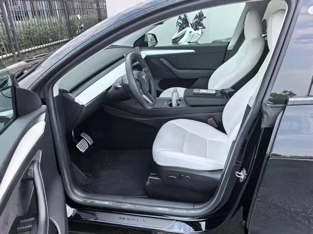 Tesla Model Y — миниатюра 2