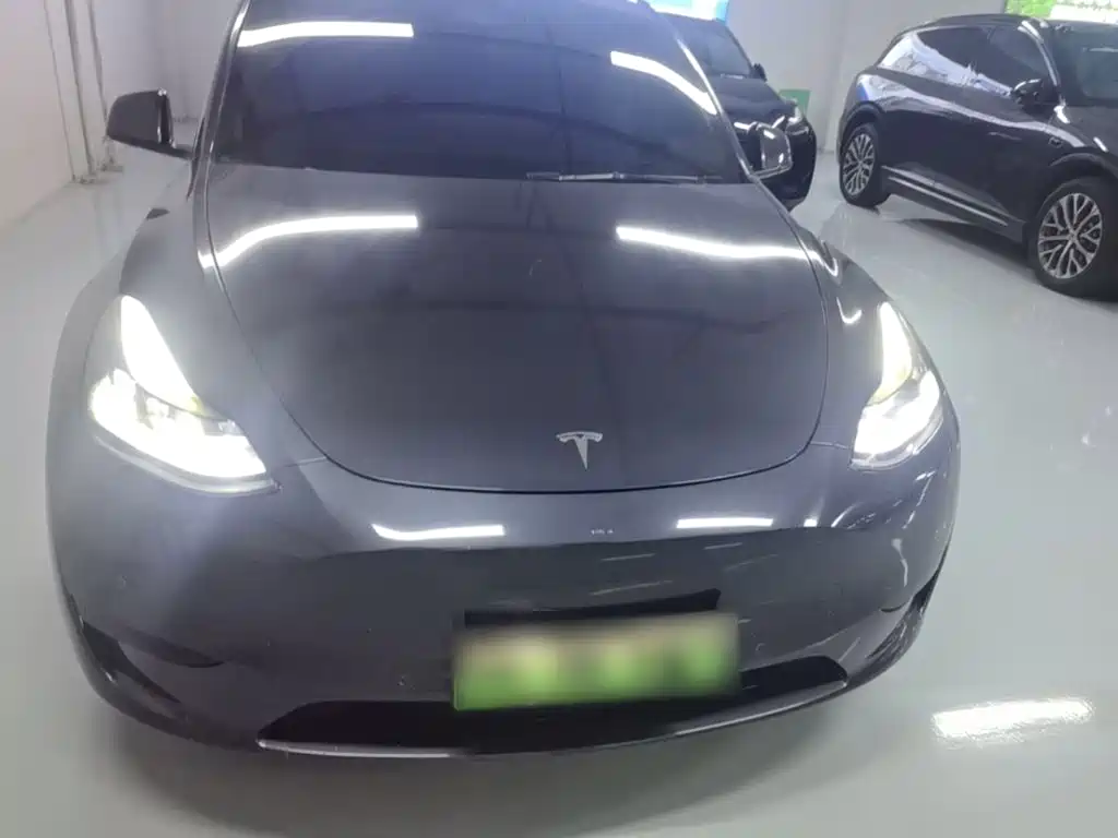 Tesla Model Y — миниатюра 3