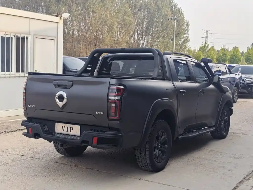 Great Wall Pao — миниатюра 2