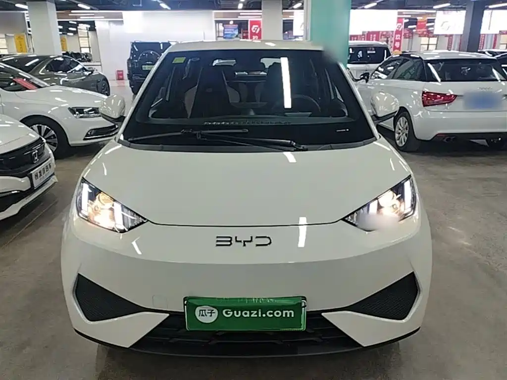 BYD Seagull 2025 Smart Drive 305km